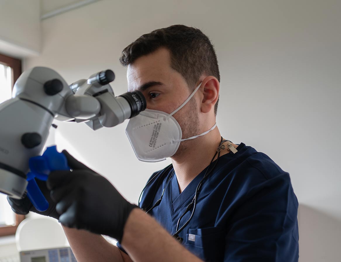 praxis am anker wiesloch prophylaxe risikobestimmung